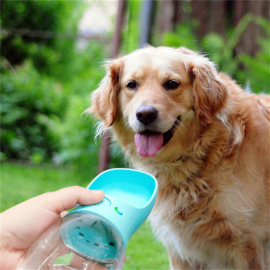 Portable Pet Water Bottle – Stay Hydrated On-the-Go!